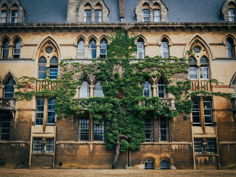 Climbing plants on a college building at Christ Church, Oxford
